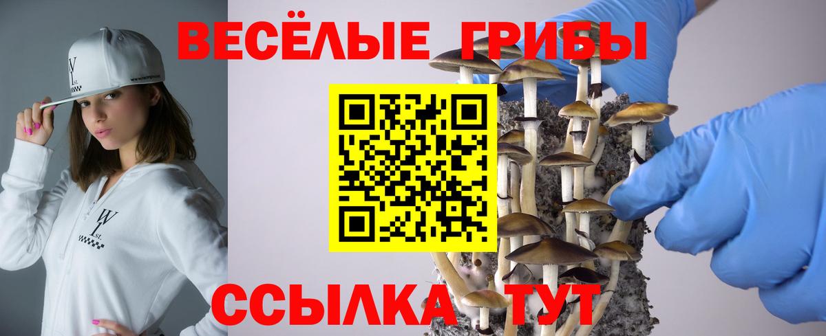 Псилоцибиновые грибы мицелий Зеленокумск